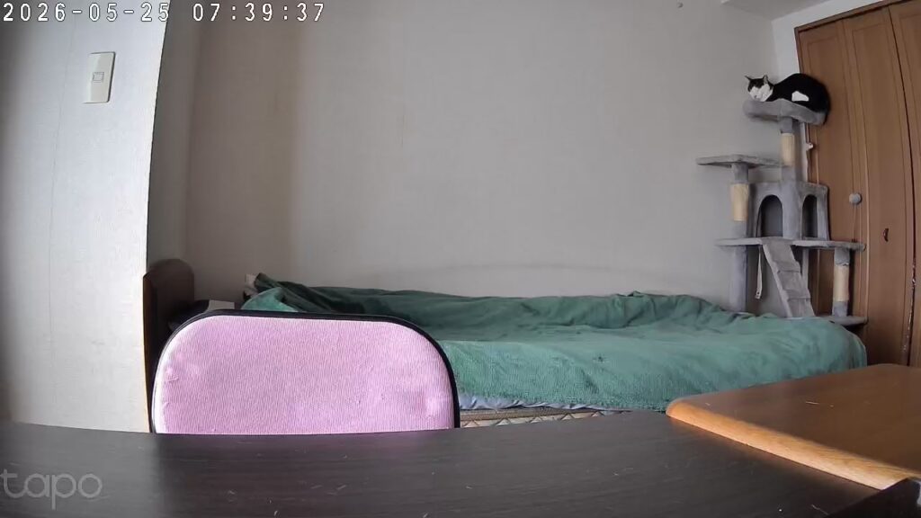キャットタワーで寝るてんの姿を撮ったペットカメラの実際の画像