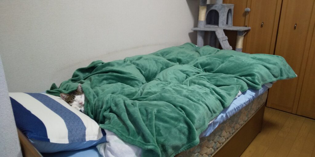 愛猫てん!ベッド独占「ガチ昼寝中」の写真