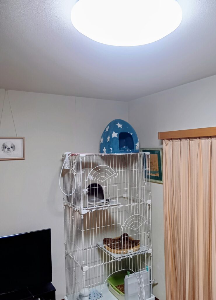 ３段ケージ