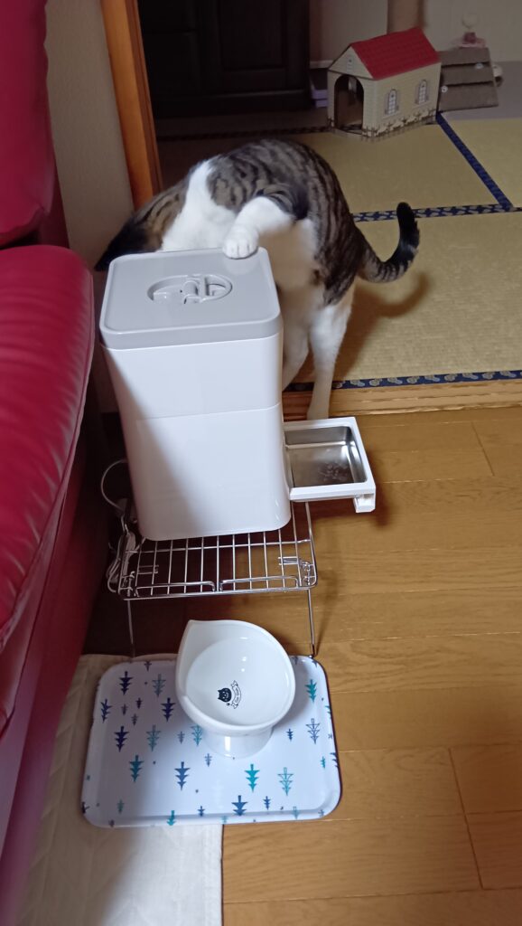自動給餌器のふたを開けようとする愛猫てんの写真