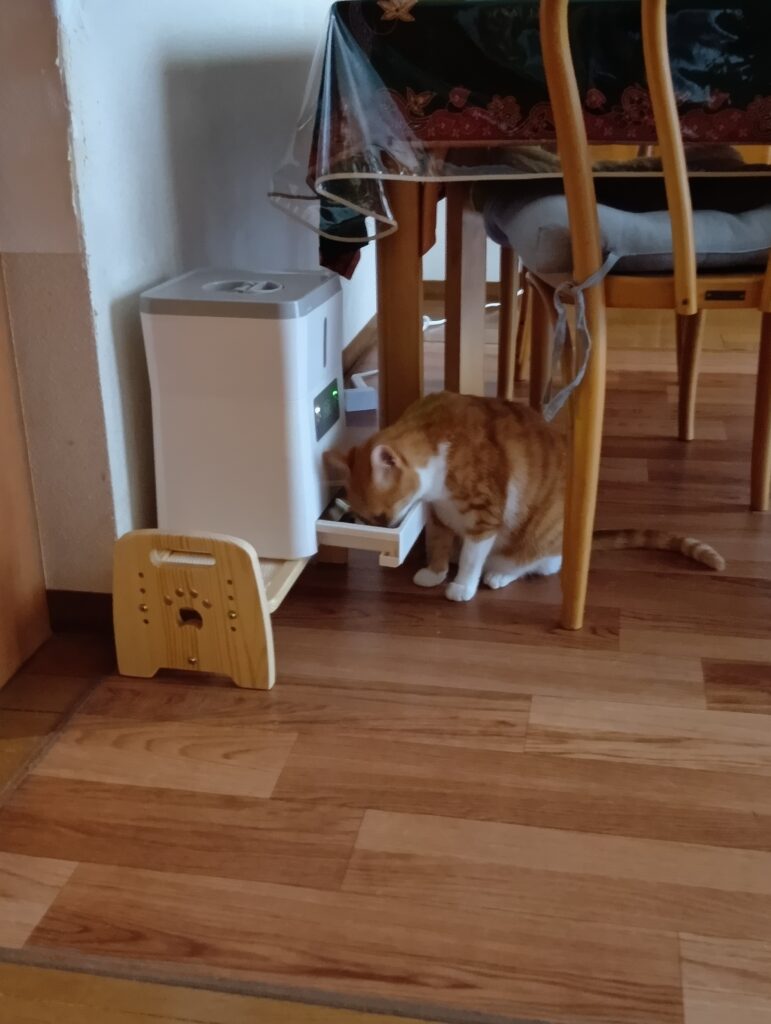 ゆずがテーブルの下で隠れて自動給餌器からご飯を食べている写真