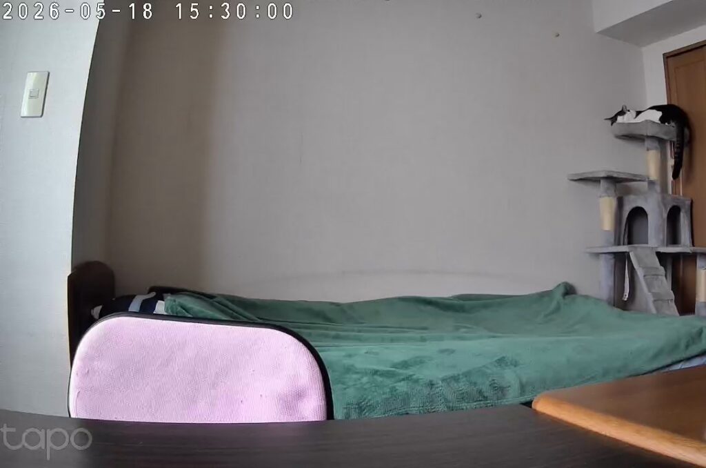 私の部屋のベッドのわきにあるキャットタワーの頂上で寝るてんの姿の写真