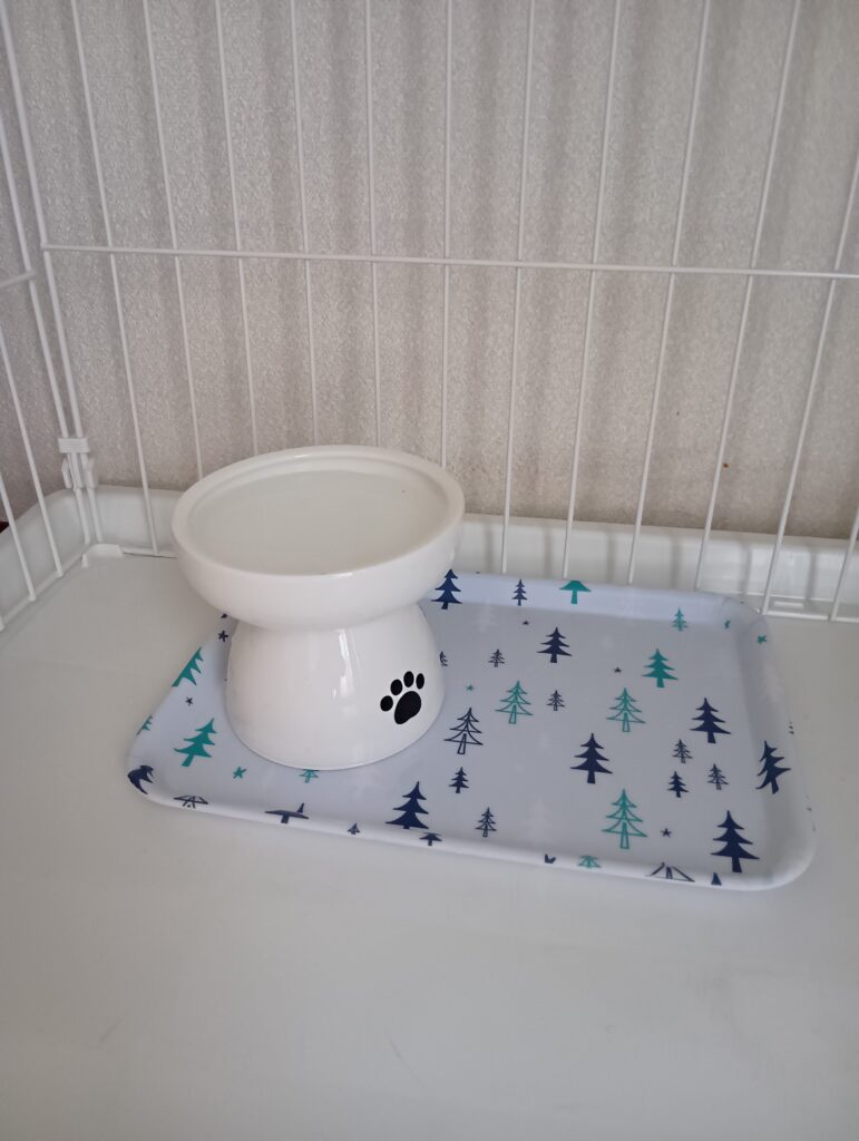 ケージ内にあるゆずの水飲み用食器の写真
