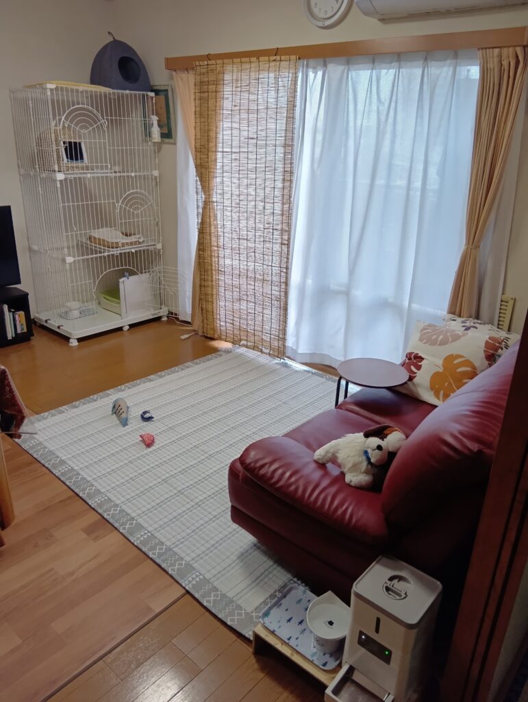 留守番環境、ケージ、トイレ、水、自動給餌器、おもちゃなどが映っている写真