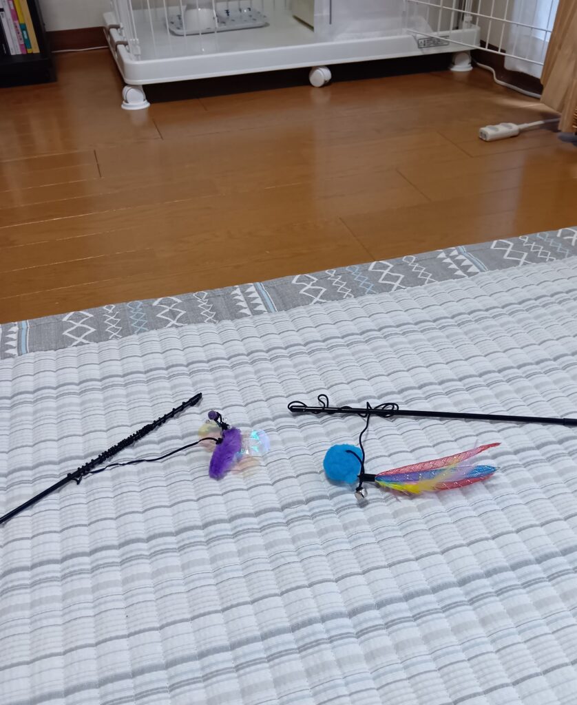 羽根つきおもちゃの写真